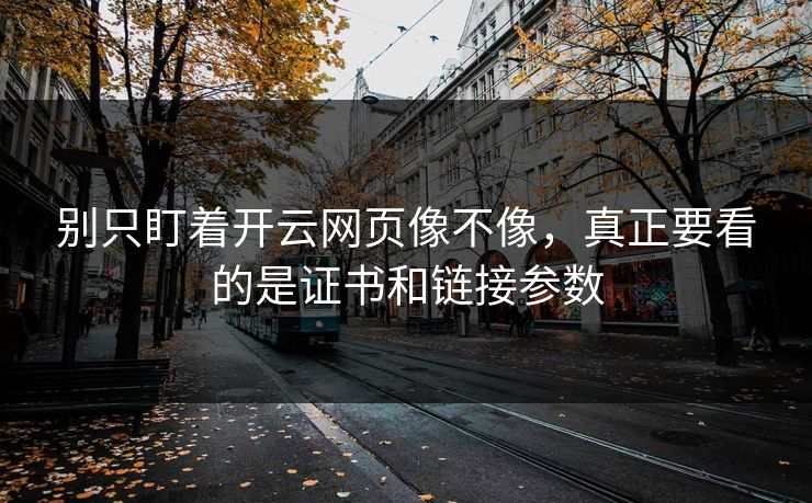 别只盯着开云网页像不像，真正要看的是证书和链接参数